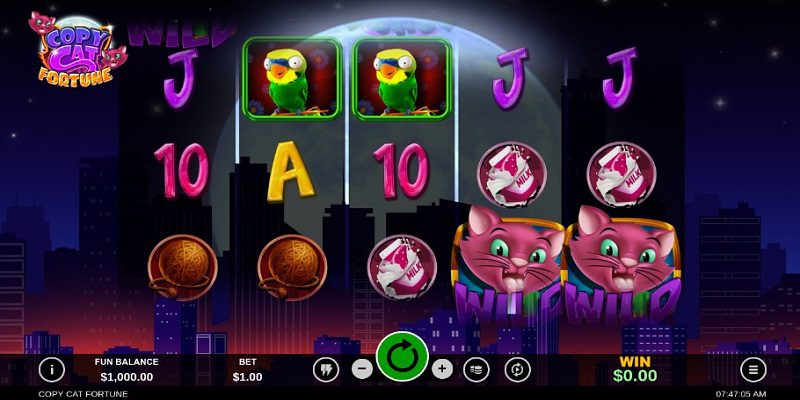 Copy Cat Fortune casino
